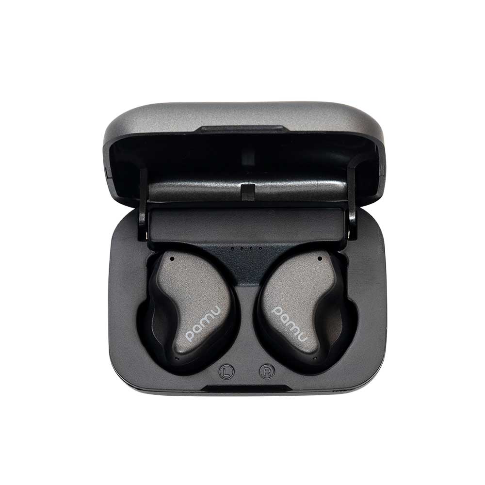 Pamu Fit N Semi-ear Bluetooth Wireless ANC Earphones Gray