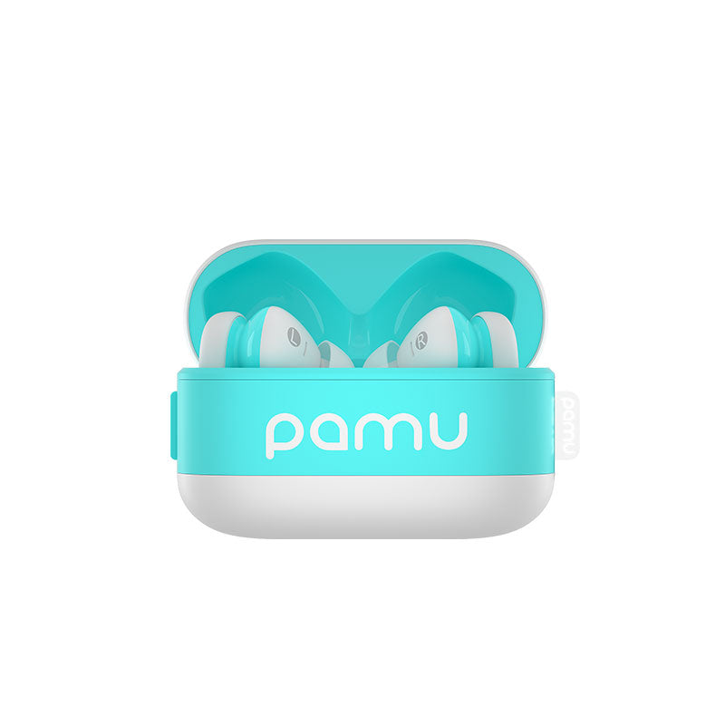 Pamu Z1 Bluetooth 5.2 Active Noise-Cancelling Earbuds （Available in Brazil only）