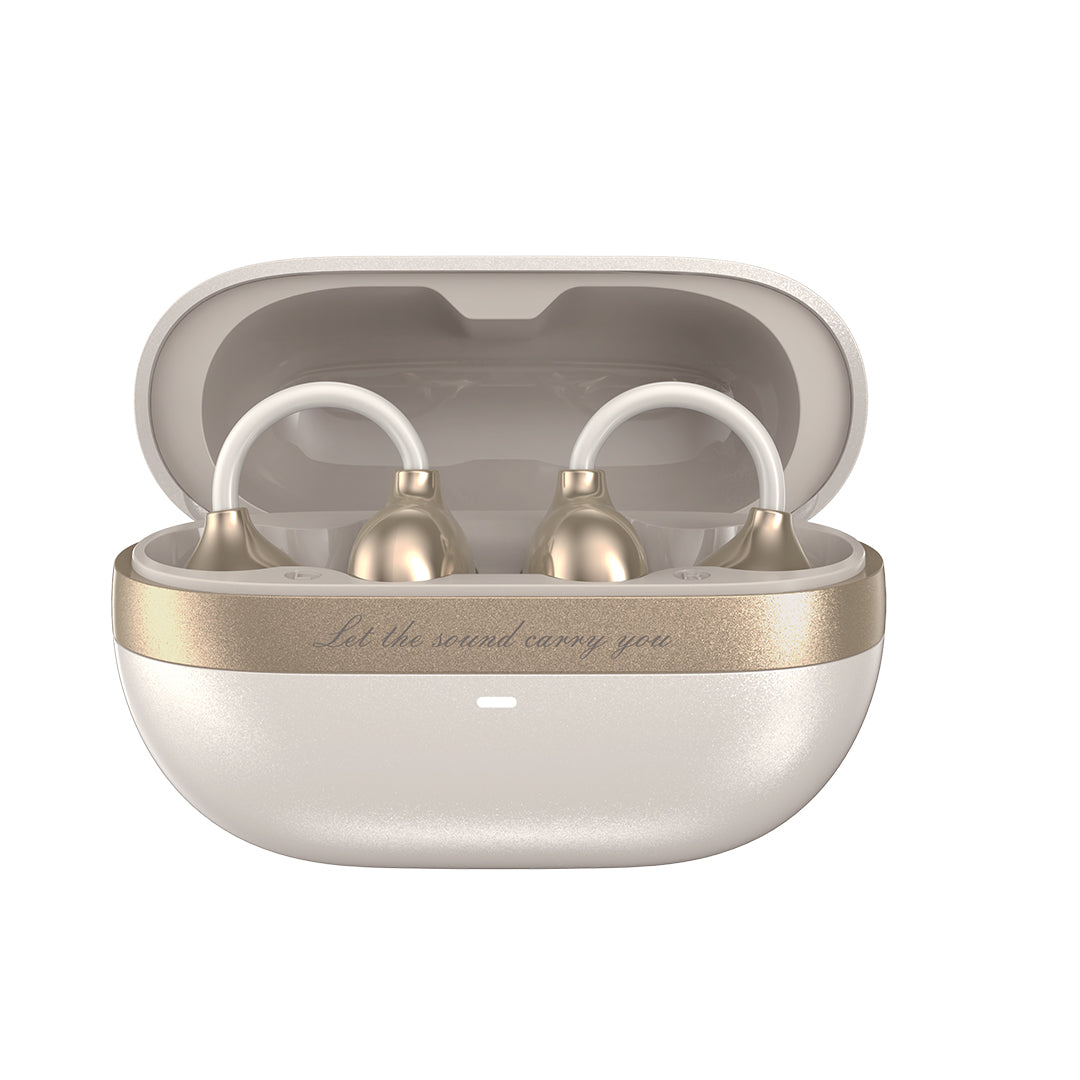 Padmate S80 Wireless earbuds in a charging case on a white background