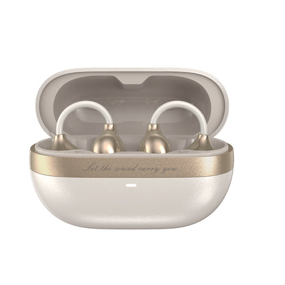 Padmate S80 Wireless earbuds in a charging case on a white background