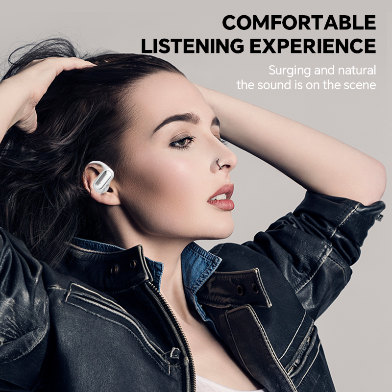 Padmate S58 True Wireless Stereo Earbuds