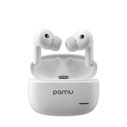 Pamu S29 Active Noise Canceling True Wireless Stereo Earbuds