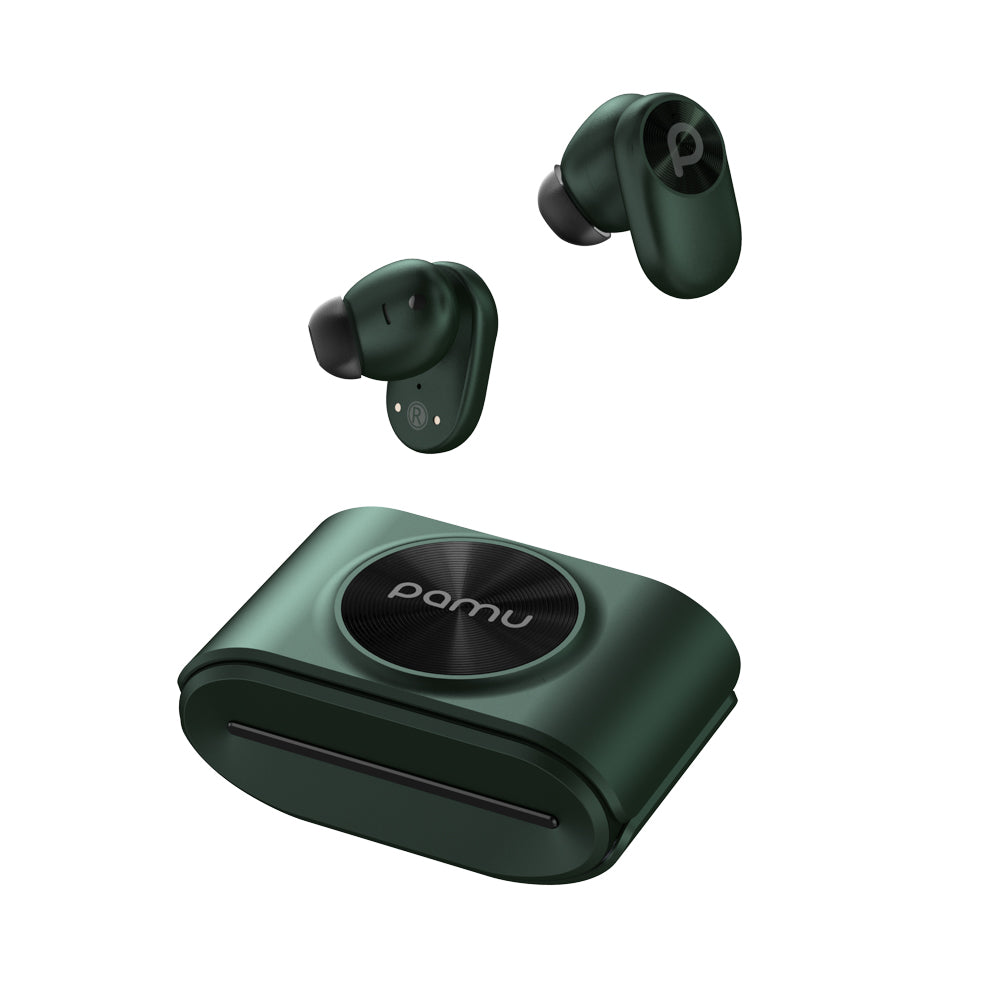 Pamu Slide - Main Image