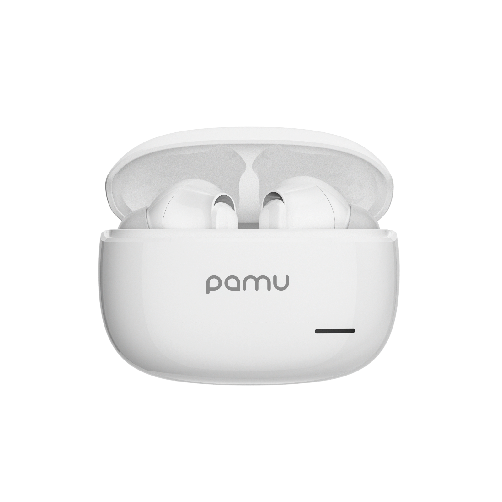 Pamu S29 Active Noise Canceling True Wireless Stereo Earbuds