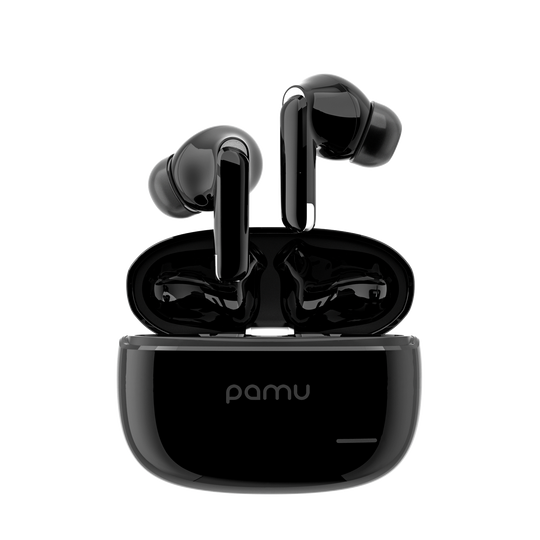 Pamu S29 Active Noise Canceling True Wireless Stereo Earbuds